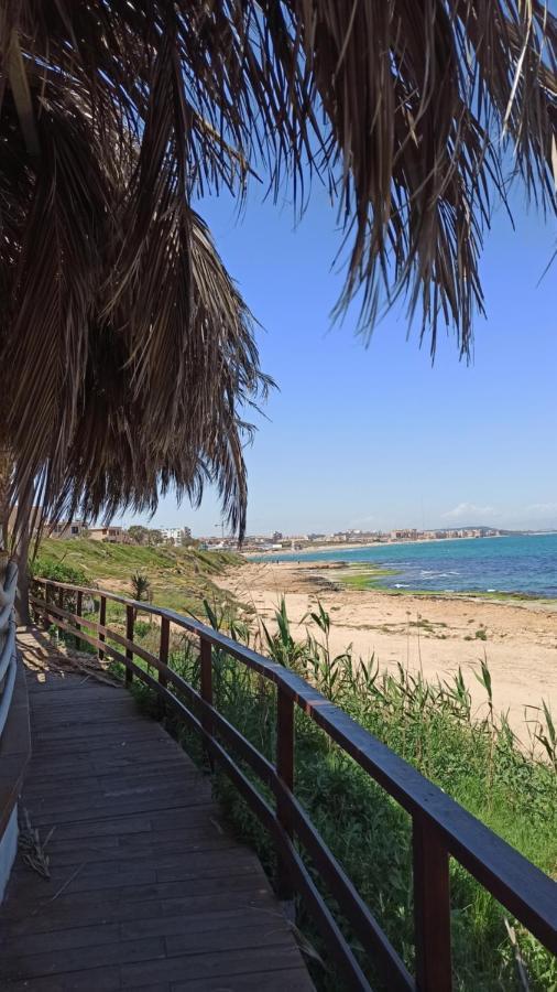 Apartment Only 250M From The Beach Los Locos Torrevieja Luaran gambar