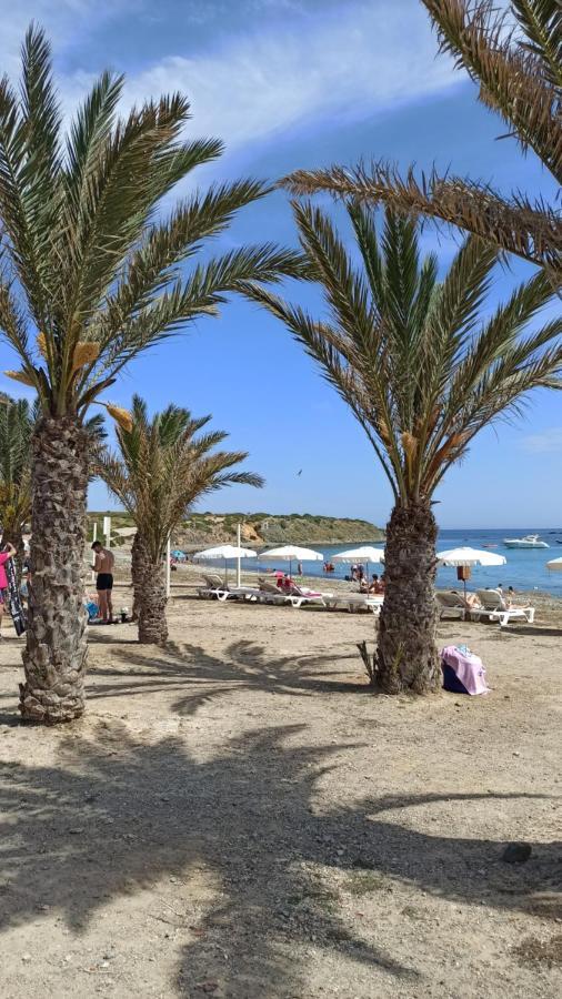 Apartment Only 250M From The Beach Los Locos Torrevieja Luaran gambar